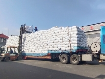 把握機(jī)遇、鉚足干勁、承勢(shì)而上