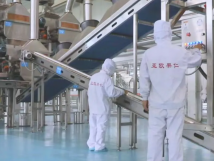 2025年的第一個(gè)月，承德亞歐果仁有限公司在山杏產(chǎn)業(yè)的道路上持續(xù)奮進(jìn)，展現(xiàn)出蓬勃的發(fā)展活力。